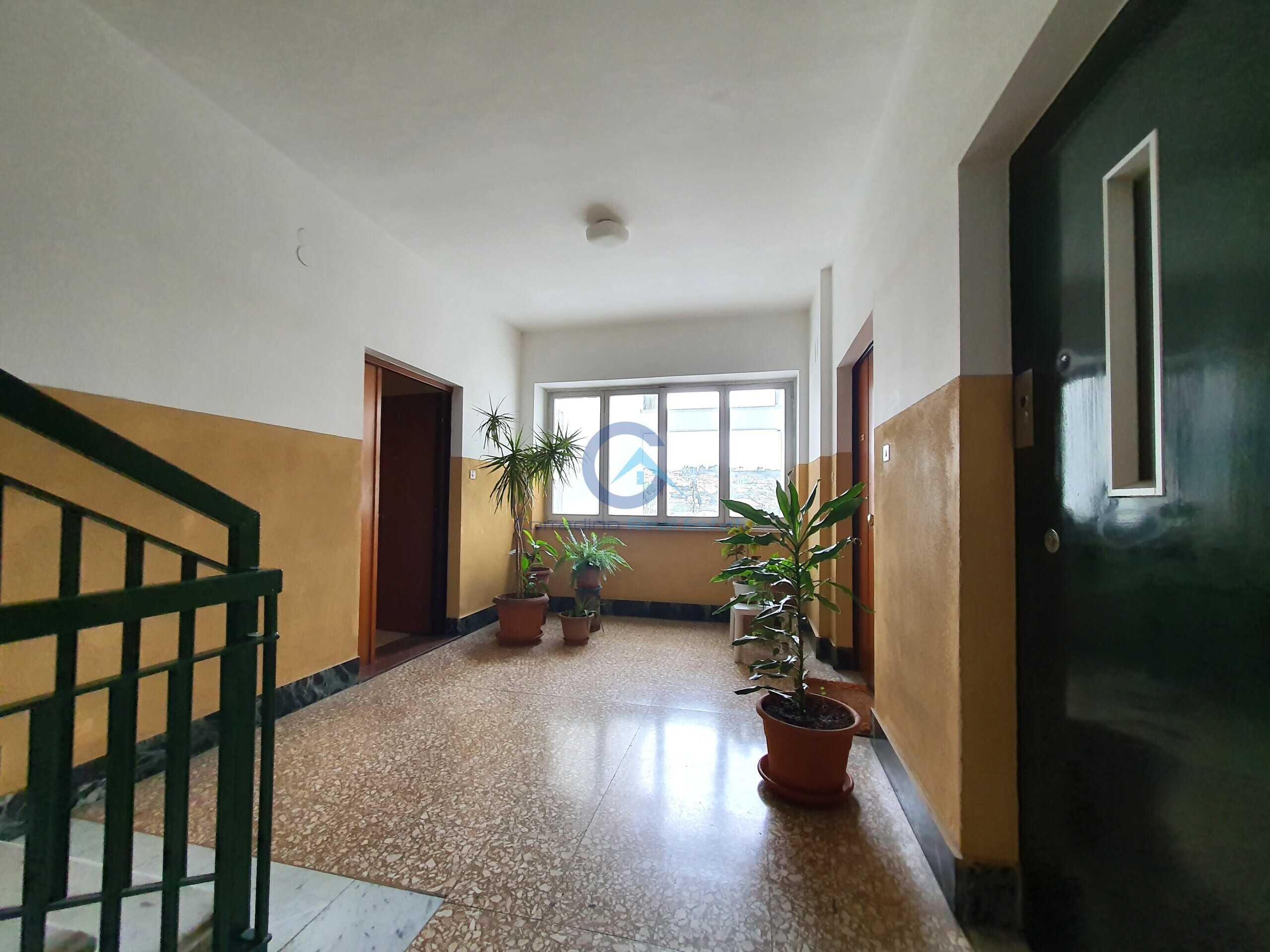  - foto 17