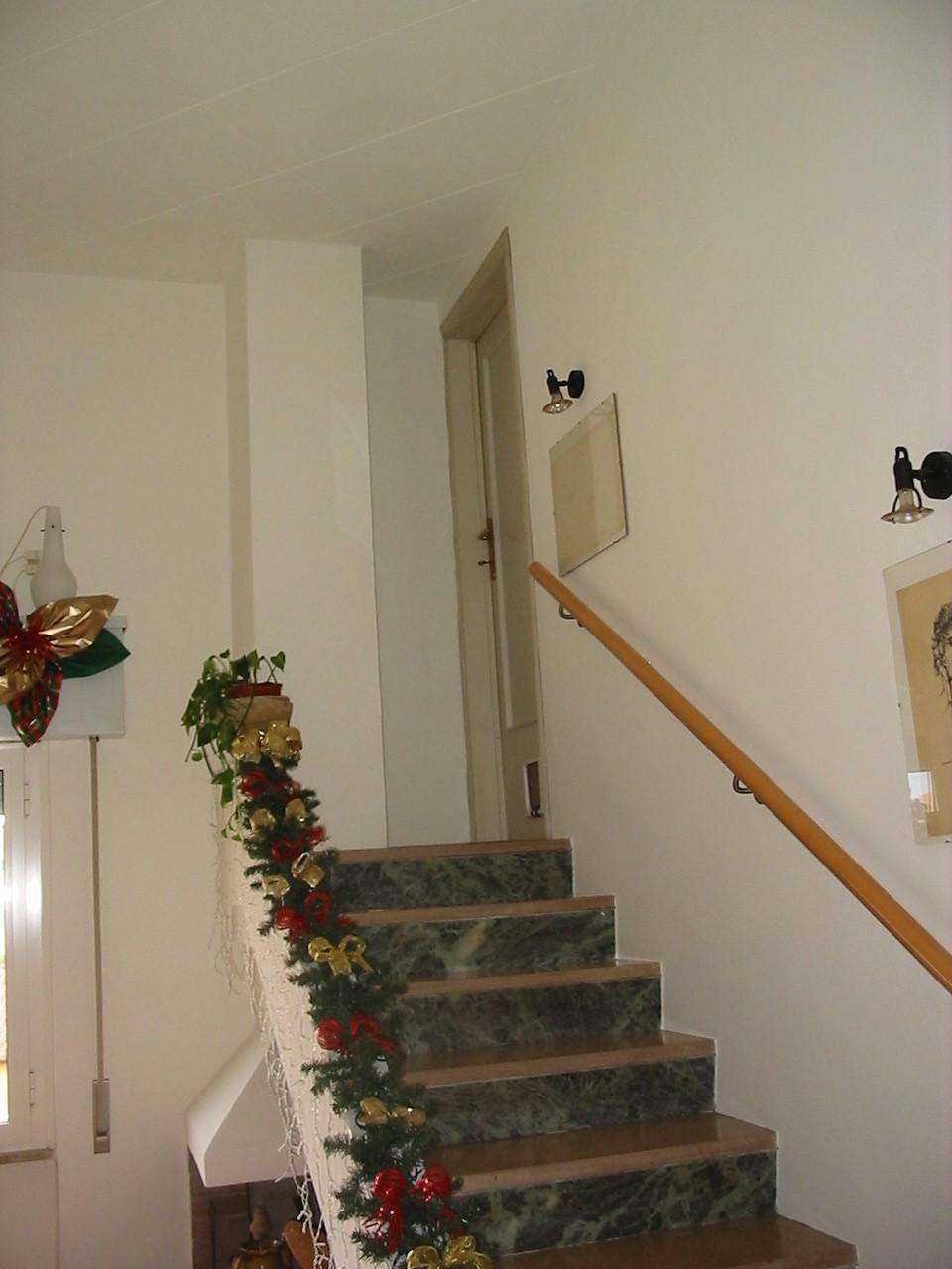  - foto 12