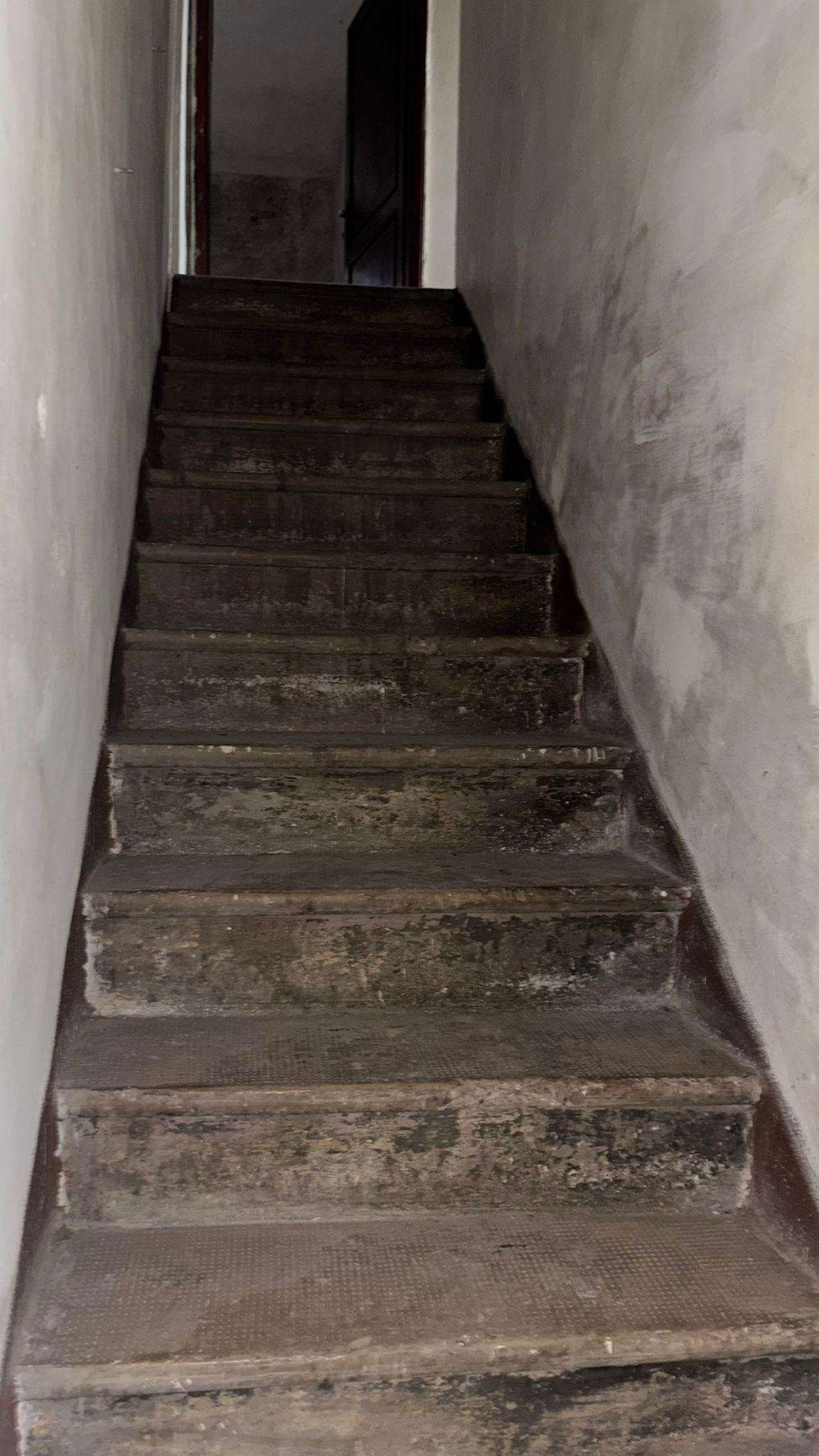  - foto 23
