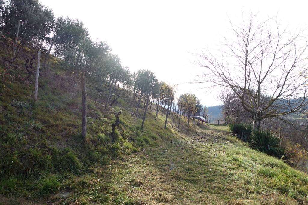  - foto 31