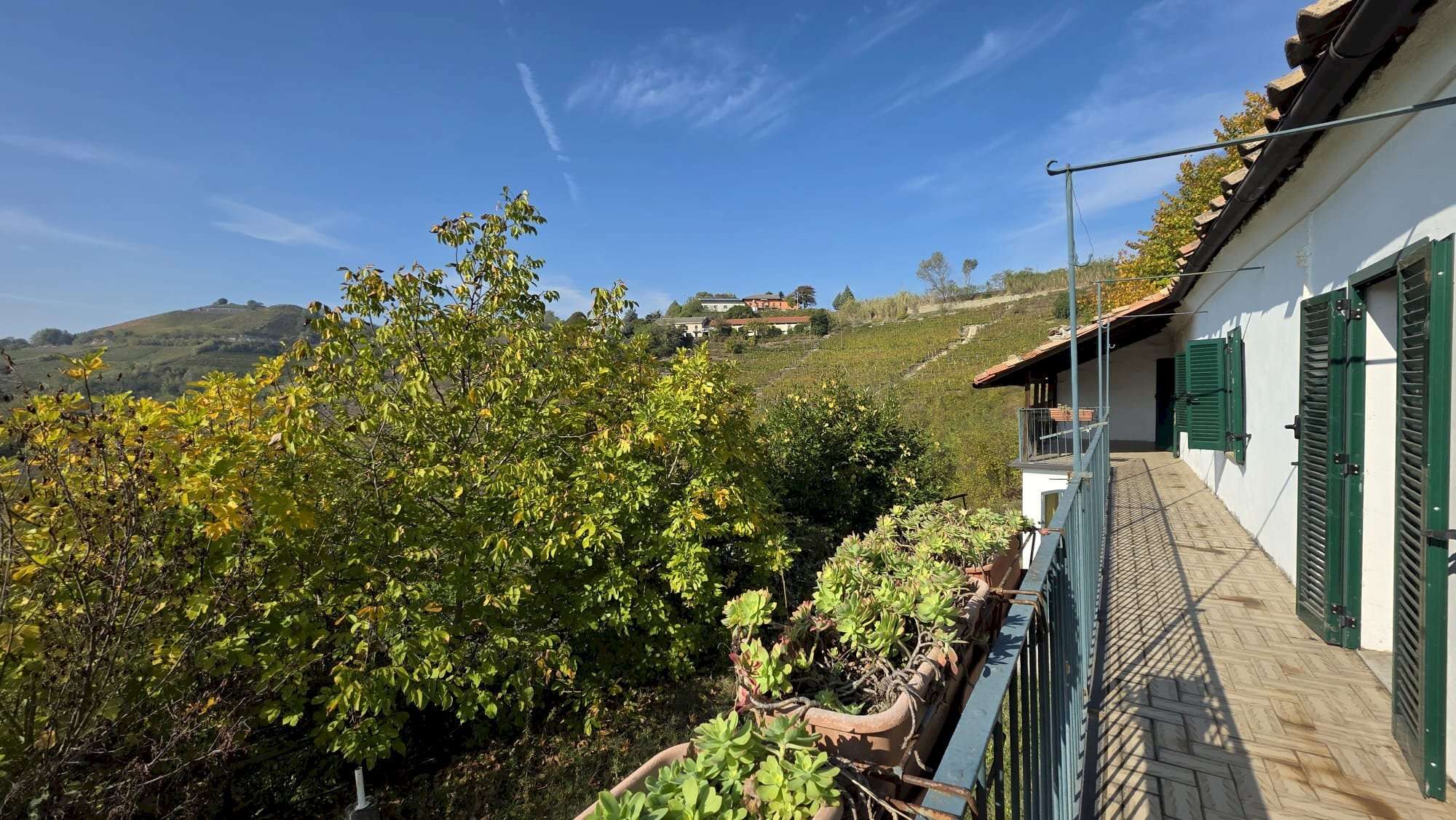  - foto 54