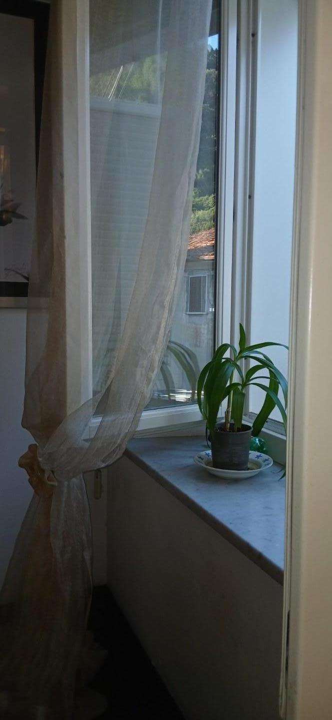  - foto 49