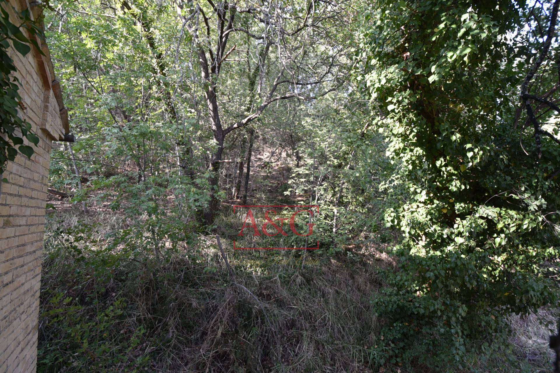  - foto 11