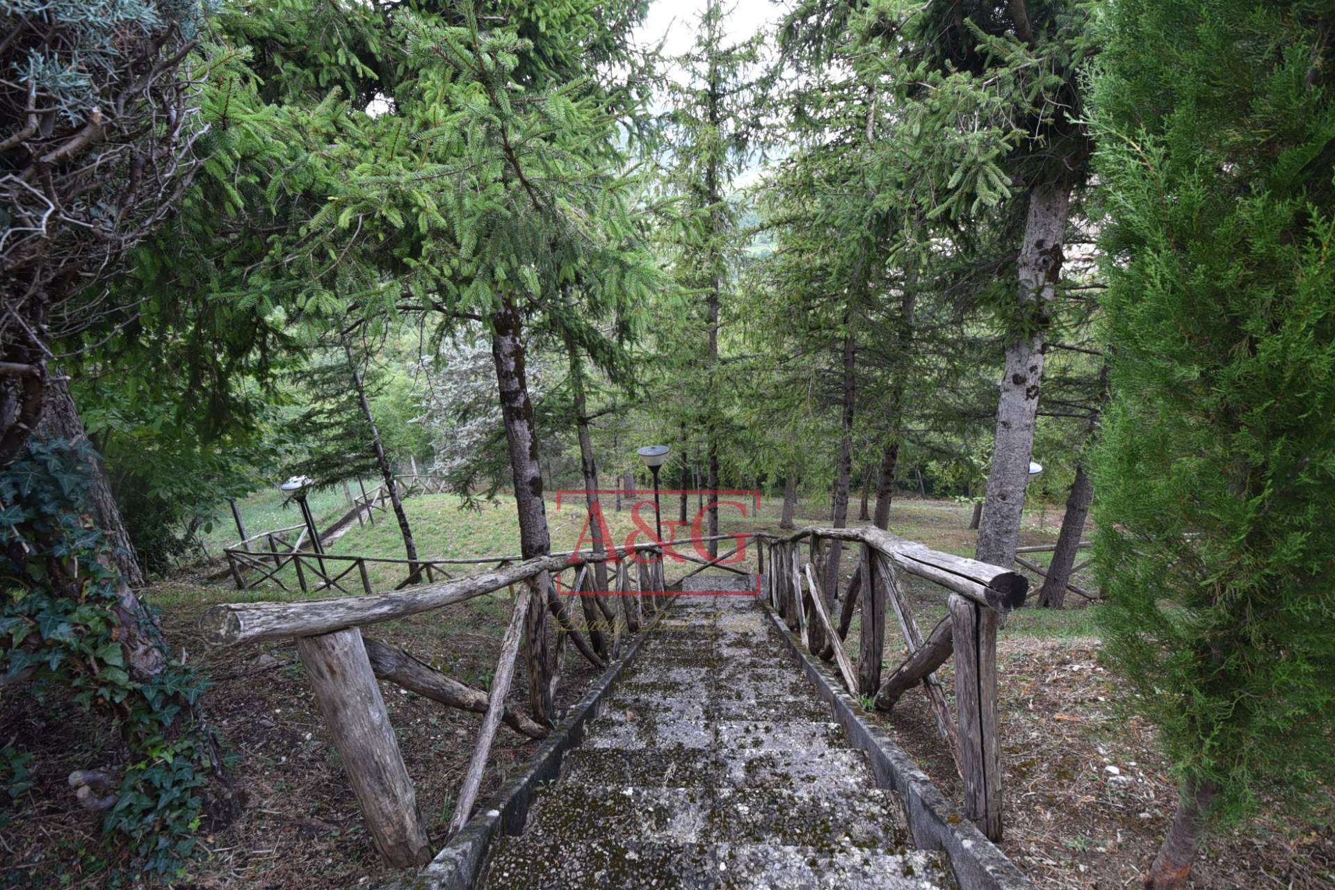  - foto 63