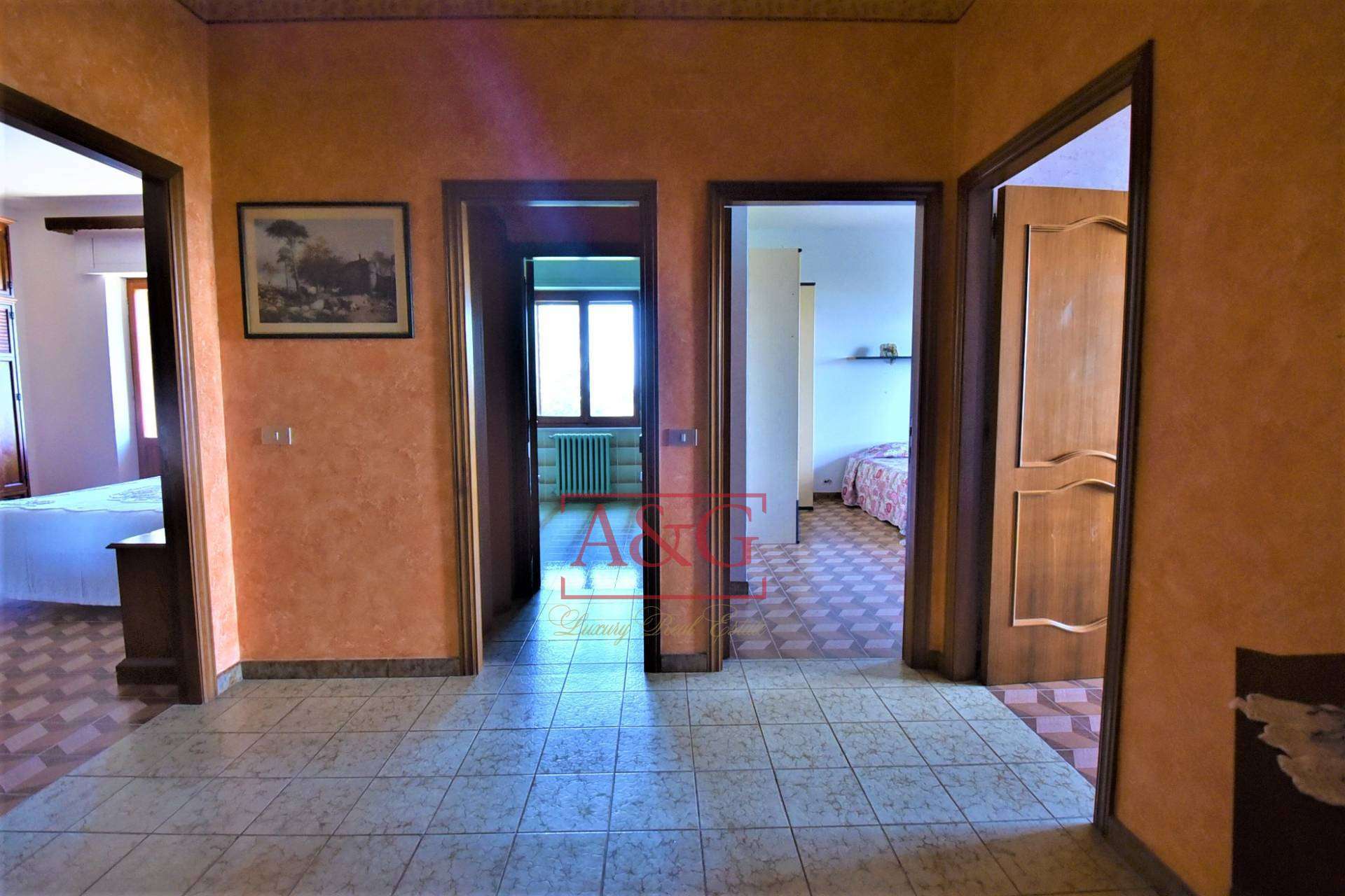  - foto 12