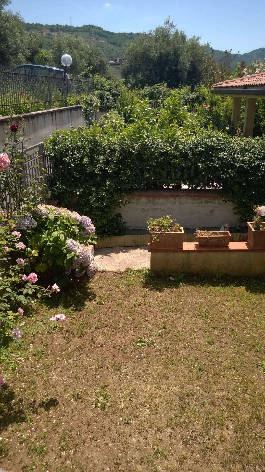  - foto 22