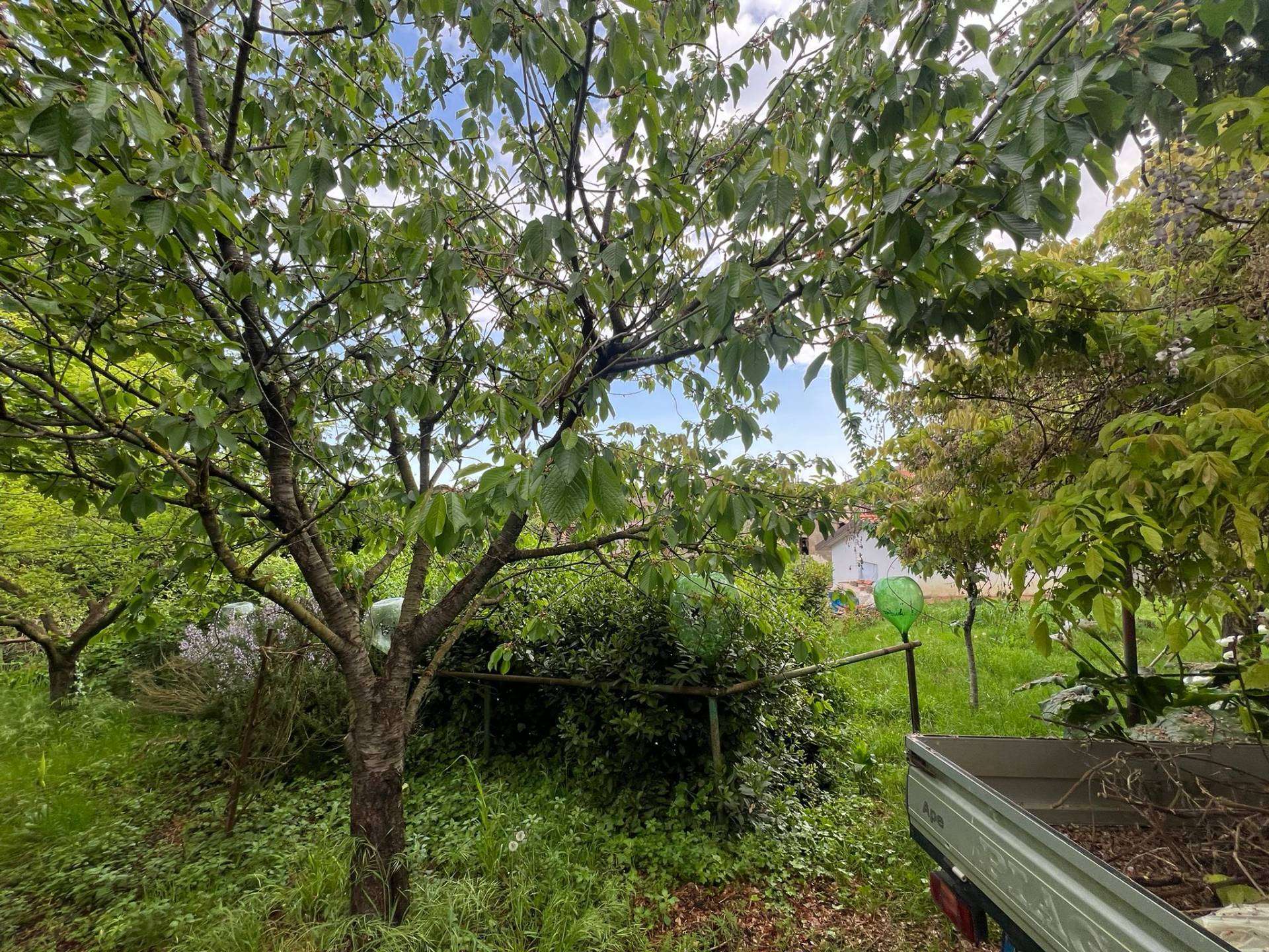  - foto 25