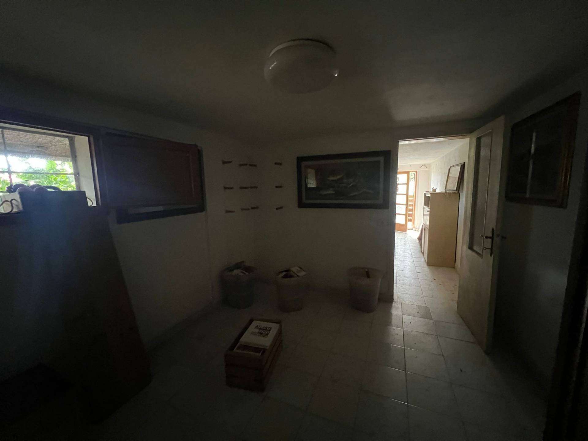 - foto 36