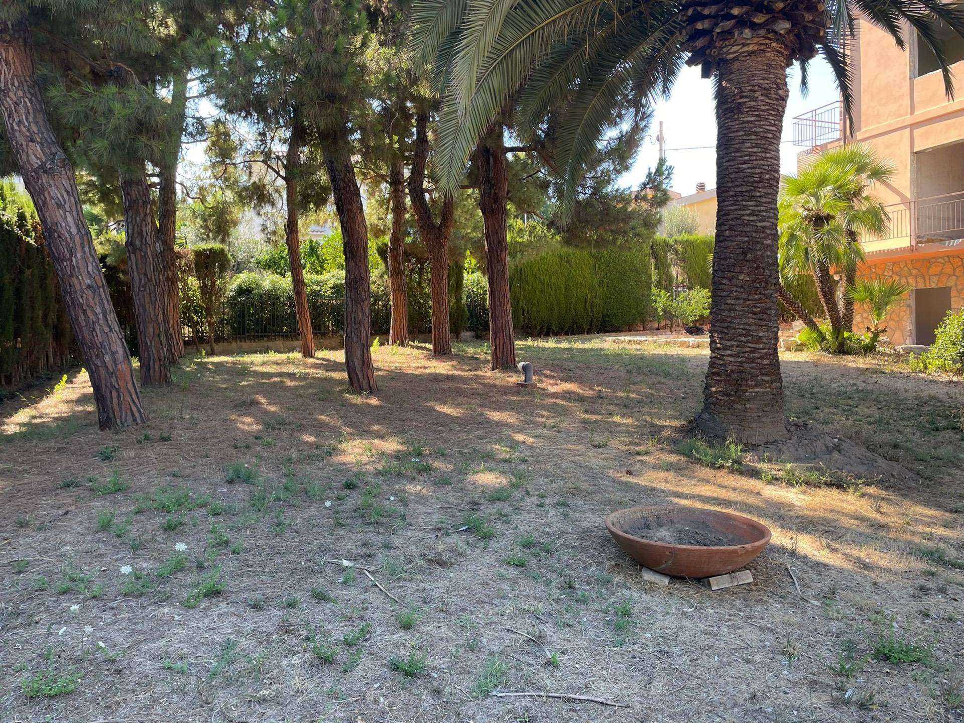  - foto 14