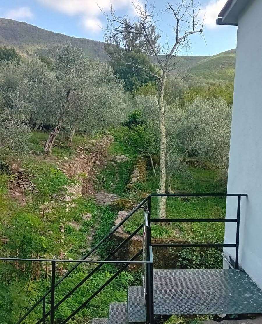  - foto 12