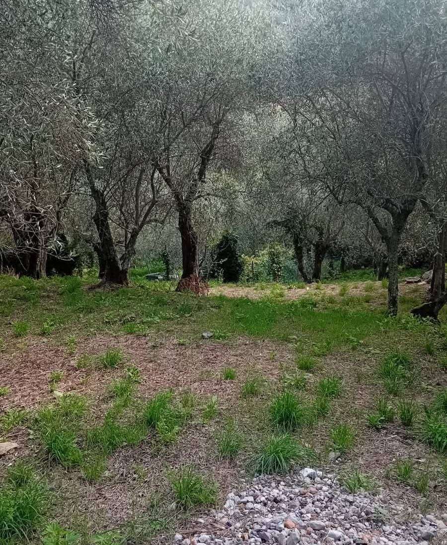 - foto 15