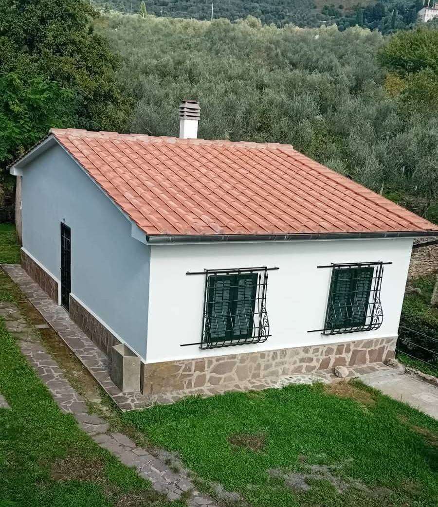  - foto 2