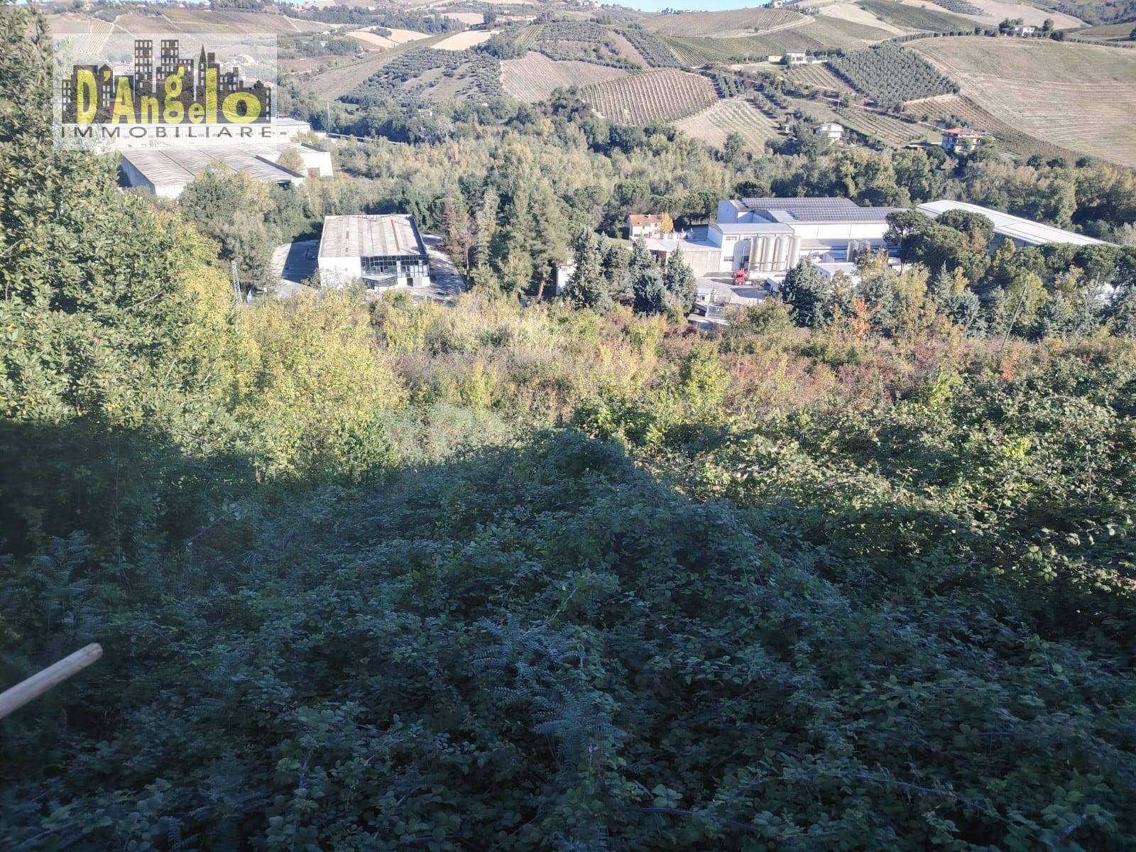  - foto 20