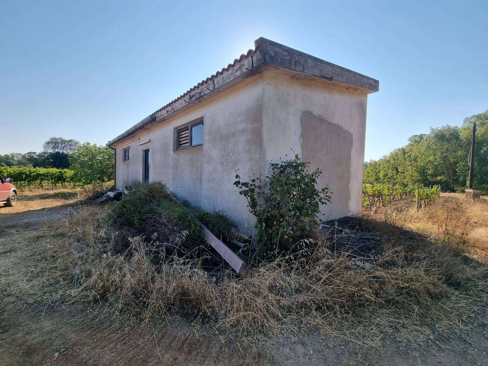  - foto 6