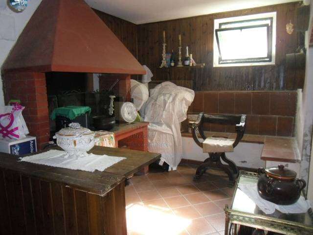  - foto 15