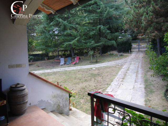  - foto 3