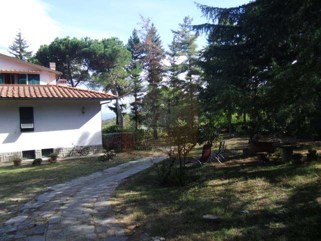  - foto 5