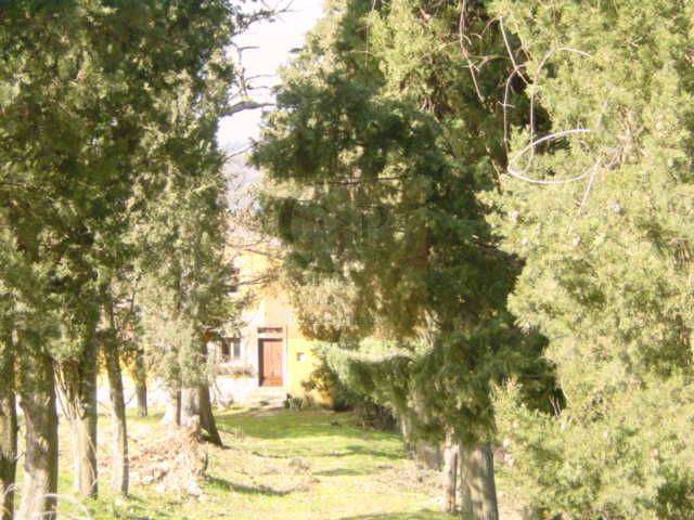  - foto 5