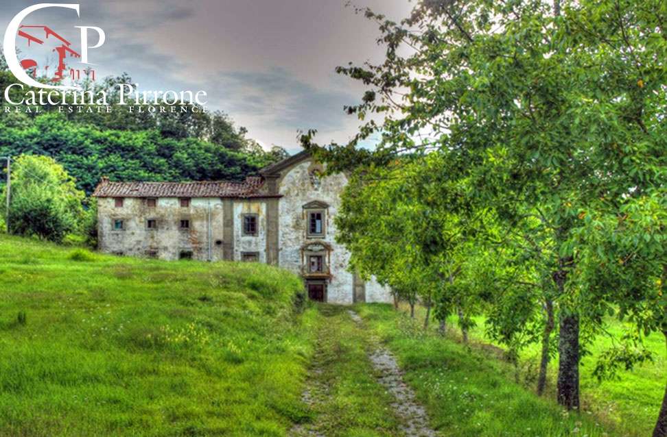  - foto 4