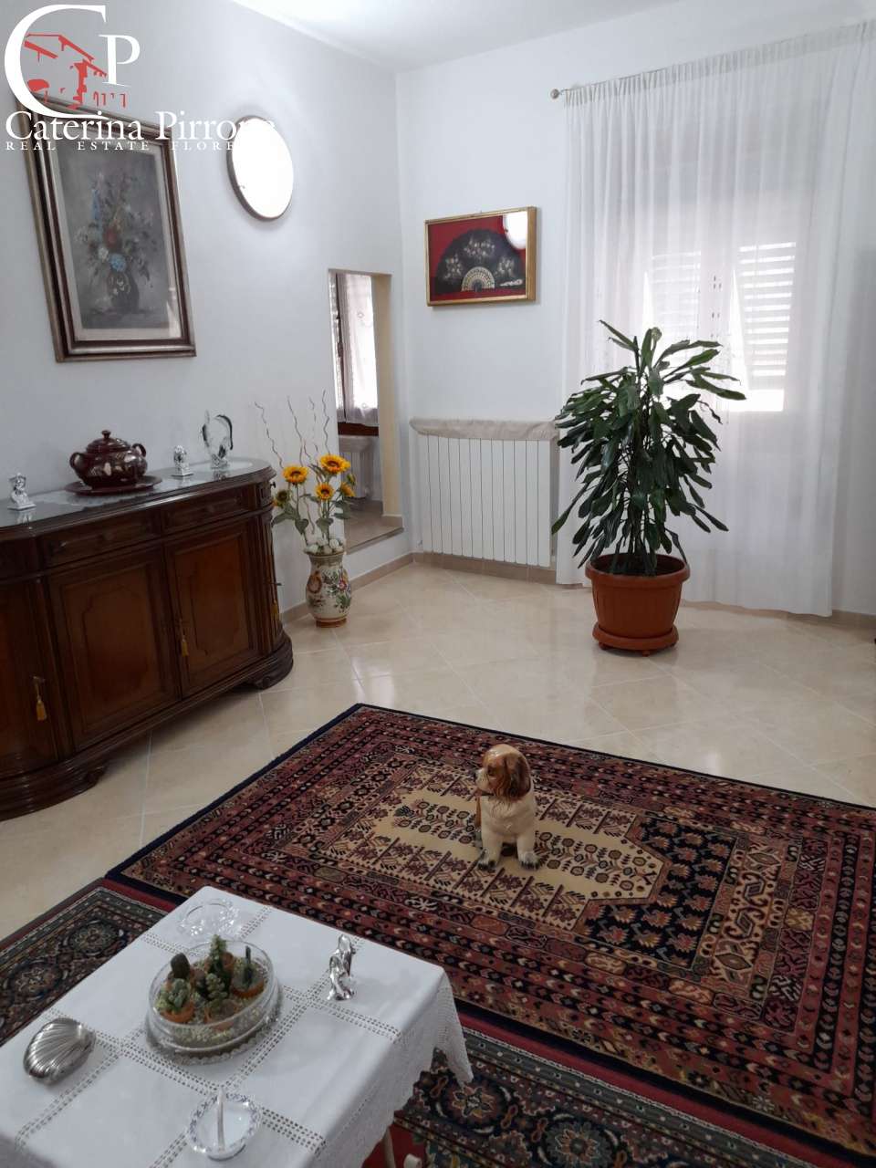 - foto 14