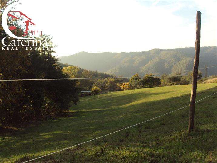  - foto 7