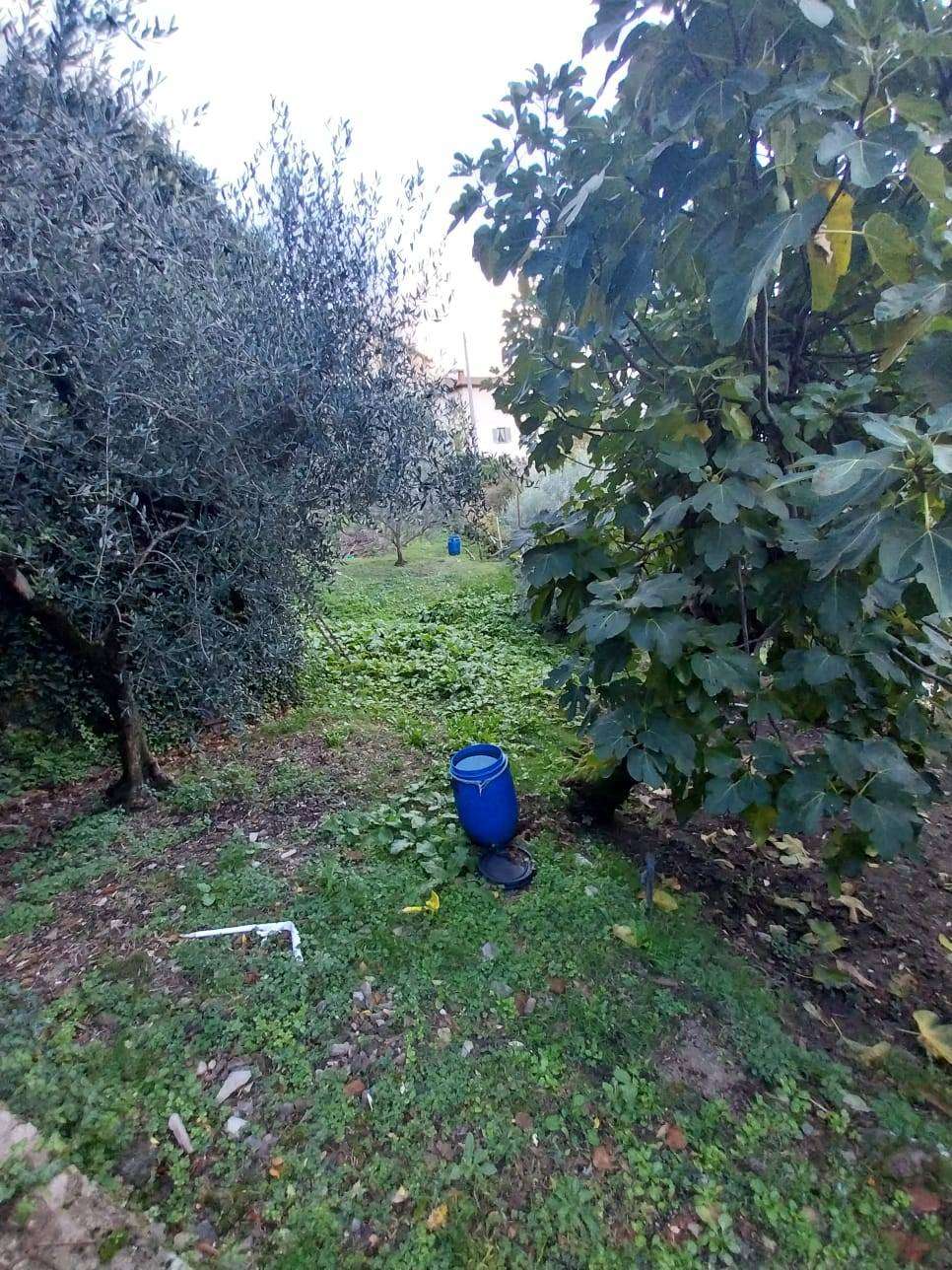  - foto 12