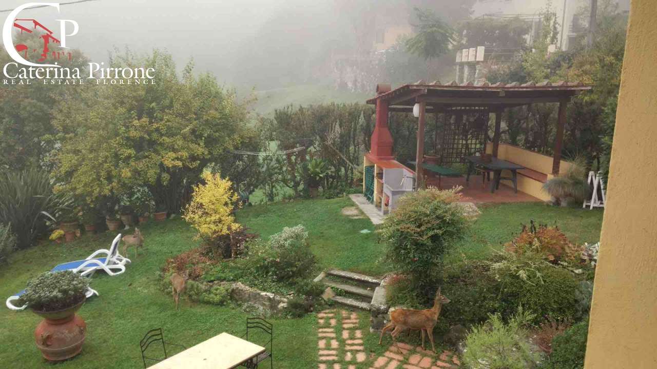  - foto 10