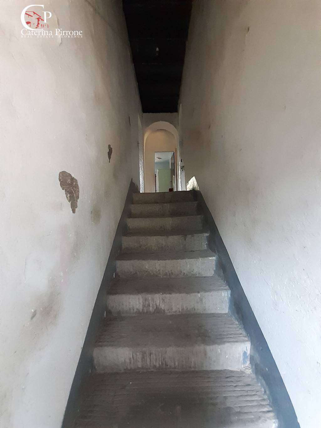  - foto 14