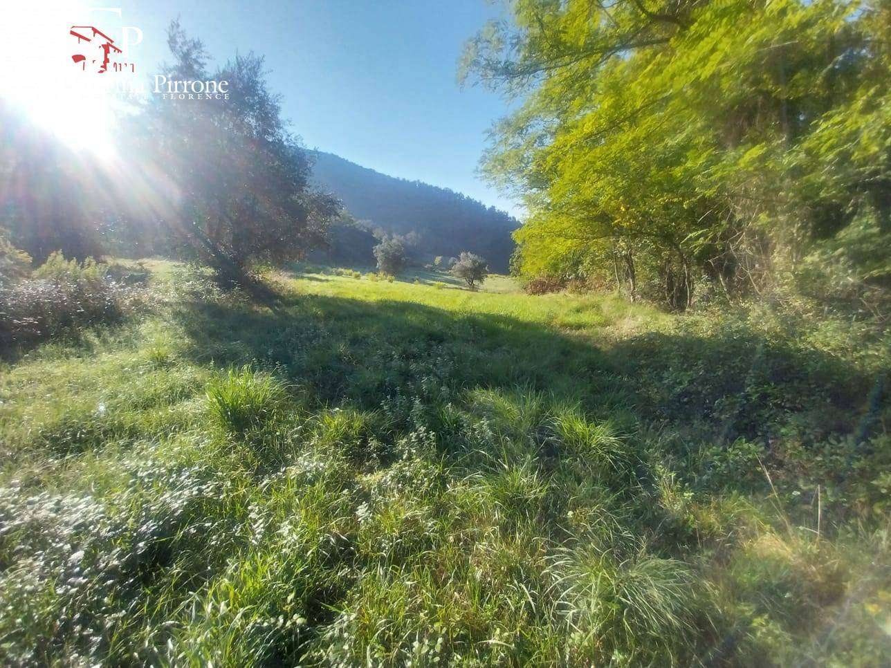  - foto 35