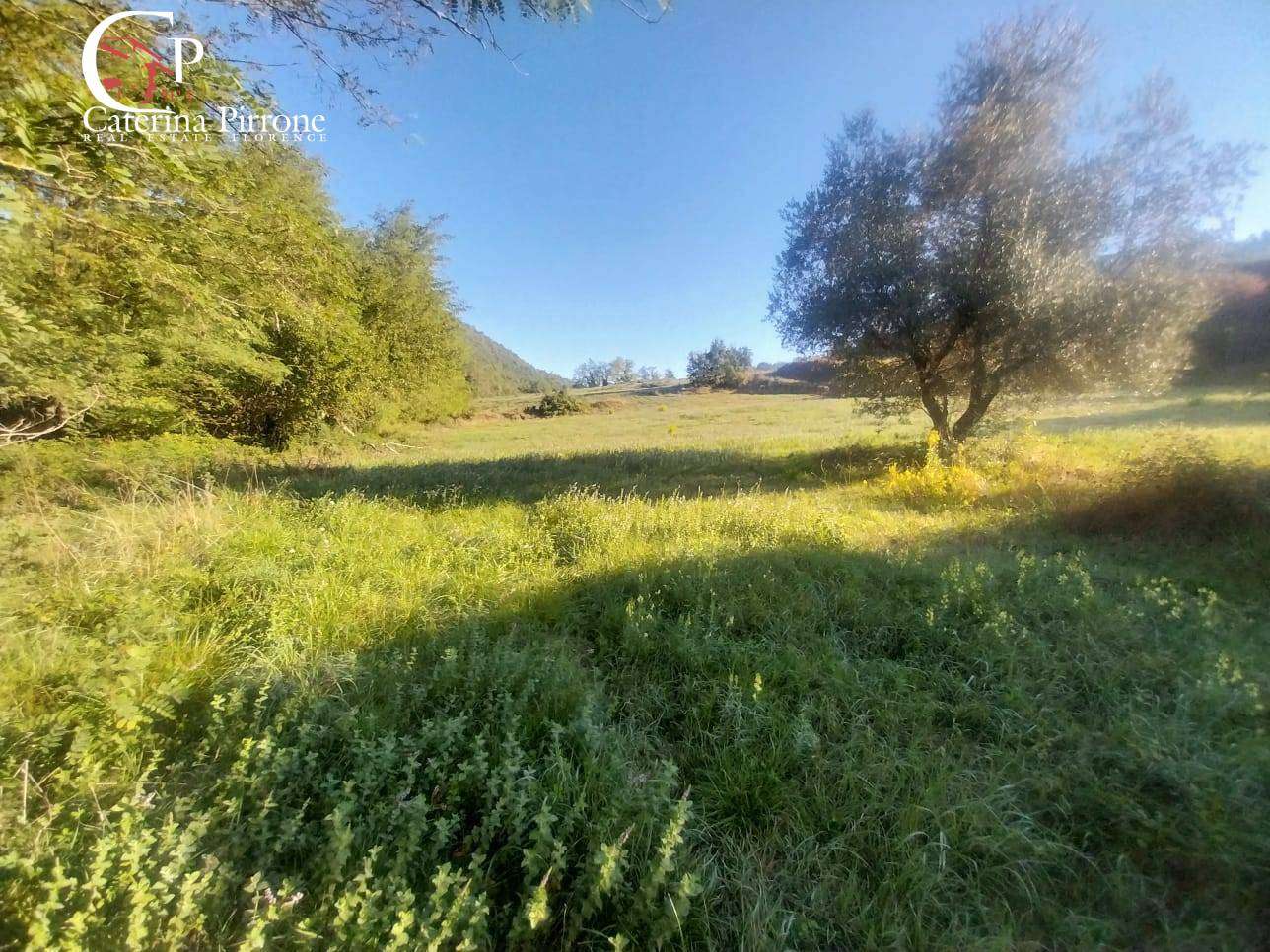  - foto 40