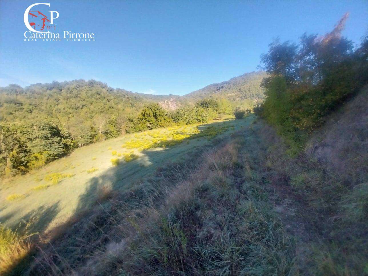  - foto 41