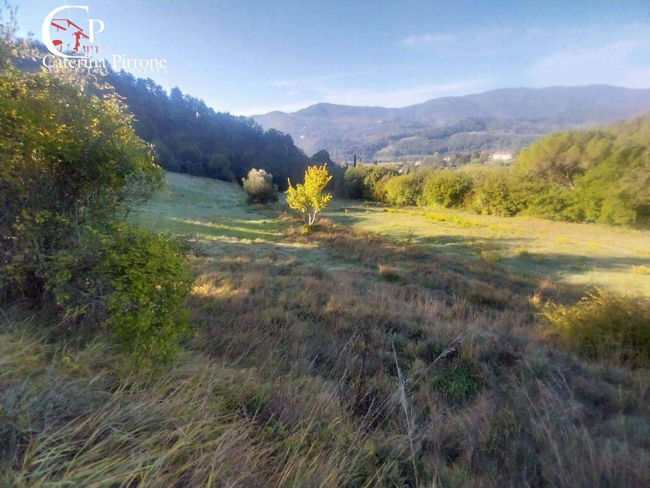  - foto 42
