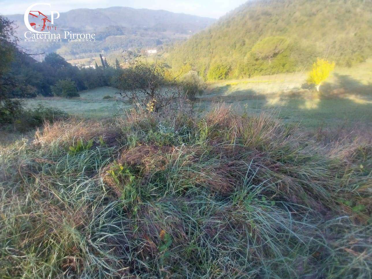  - foto 43