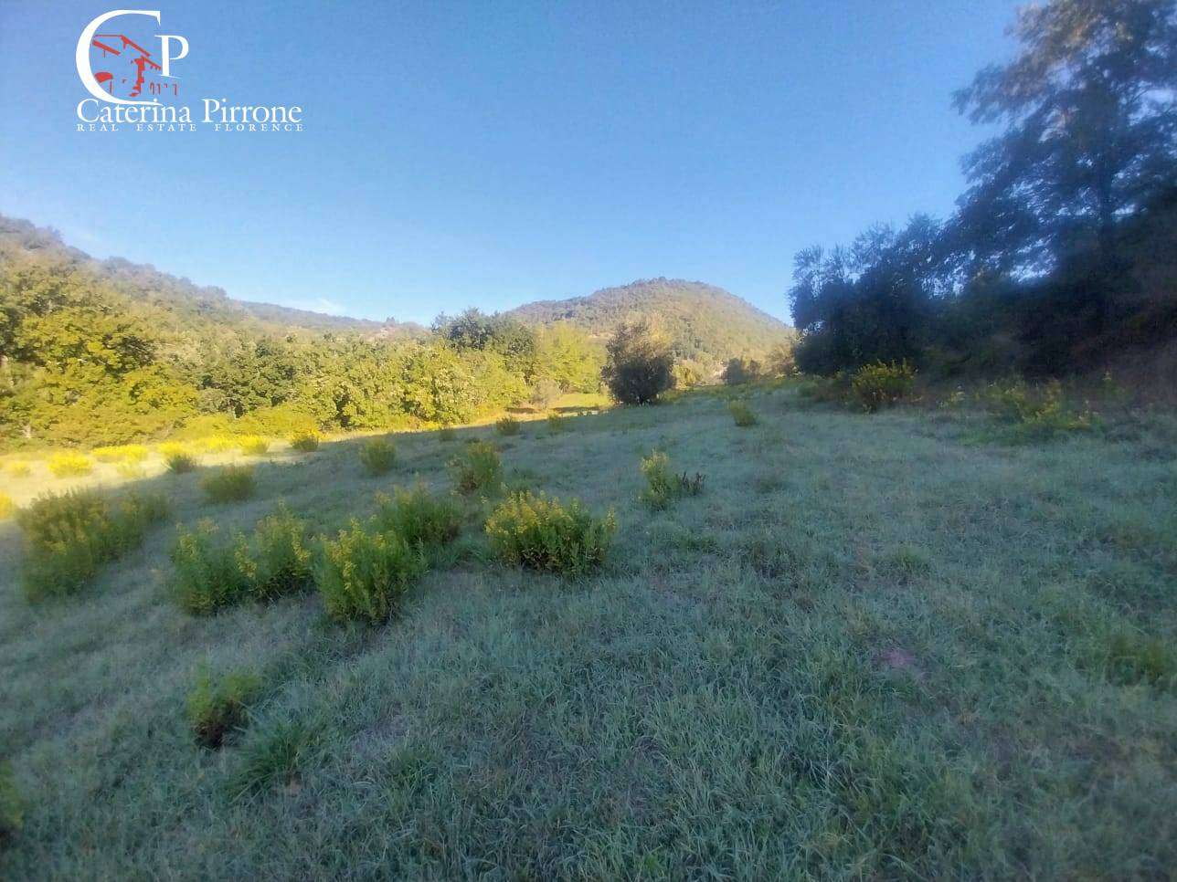  - foto 44