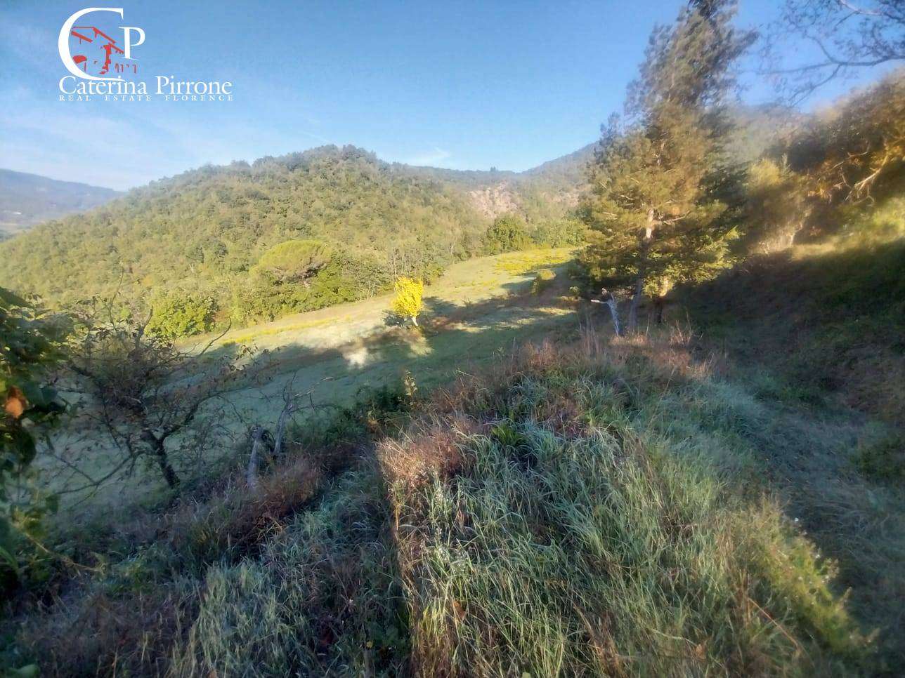  - foto 46