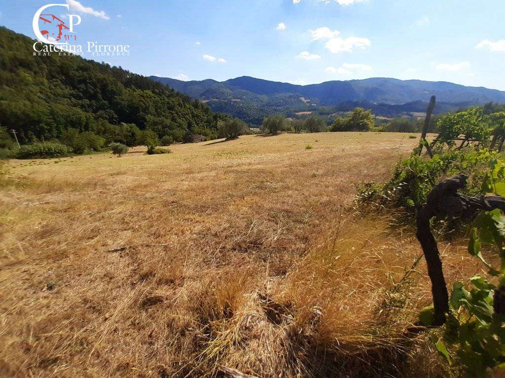  - foto 6