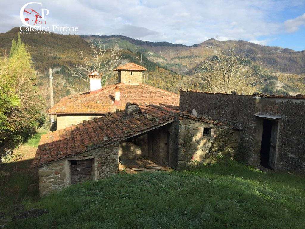 Rustico località Spaliena10, San Godenzo