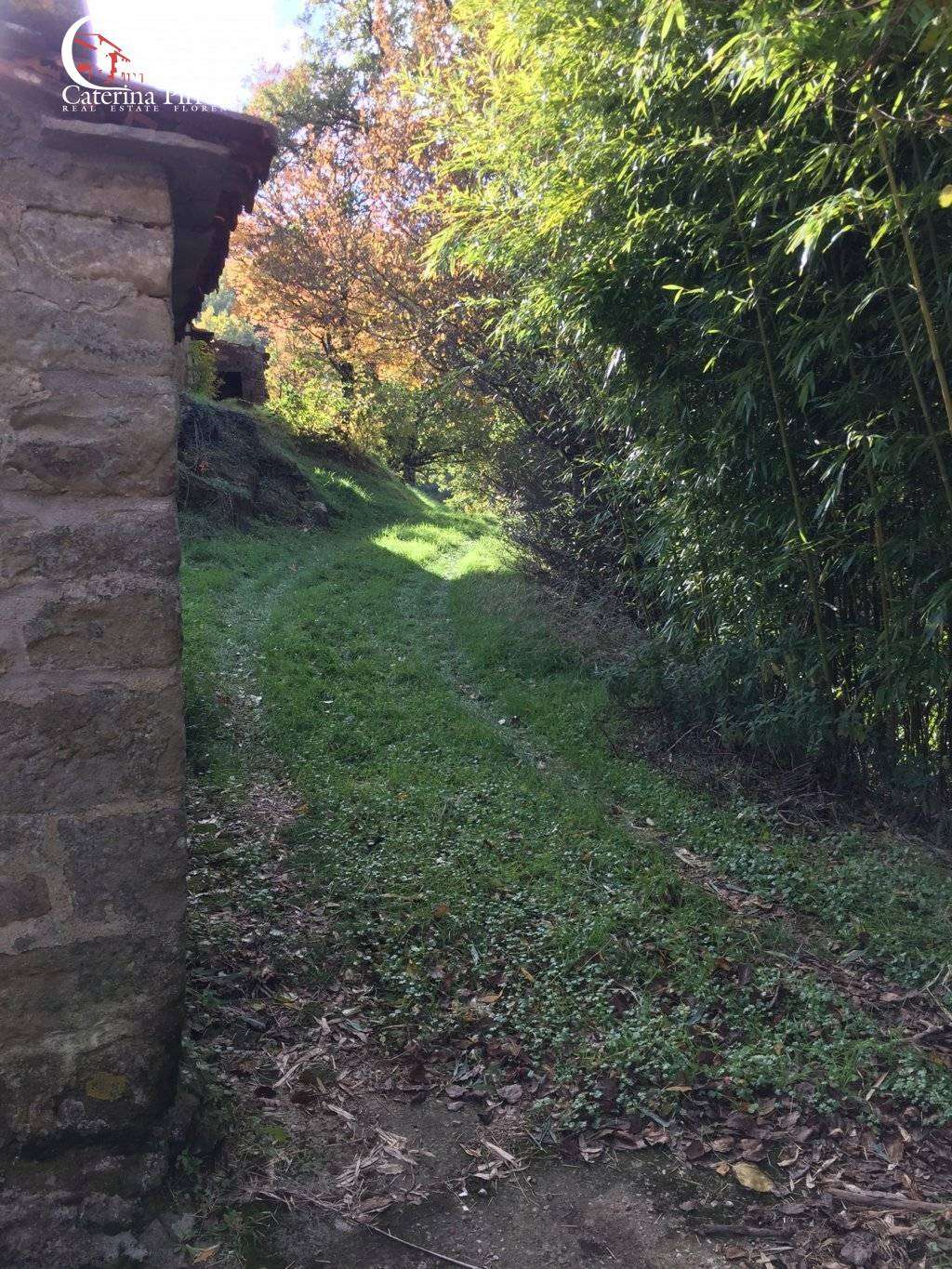  - foto 11