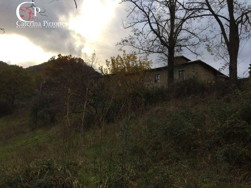  - foto 16