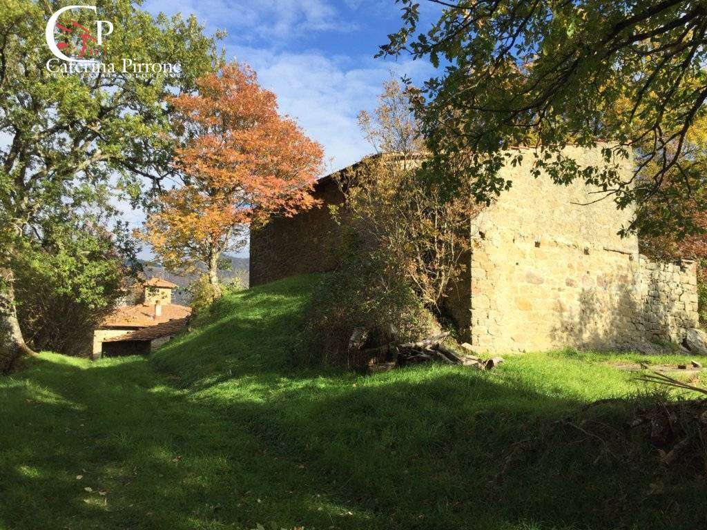  - foto 2