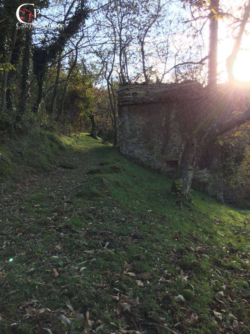  - foto 21
