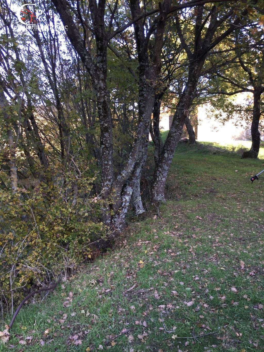  - foto 25