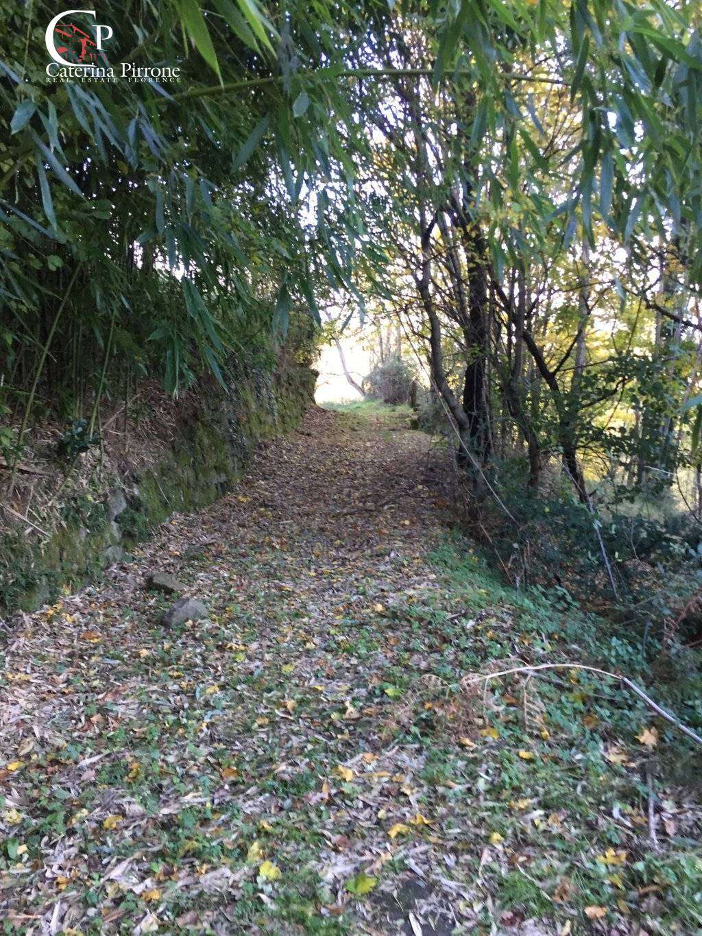  - foto 26