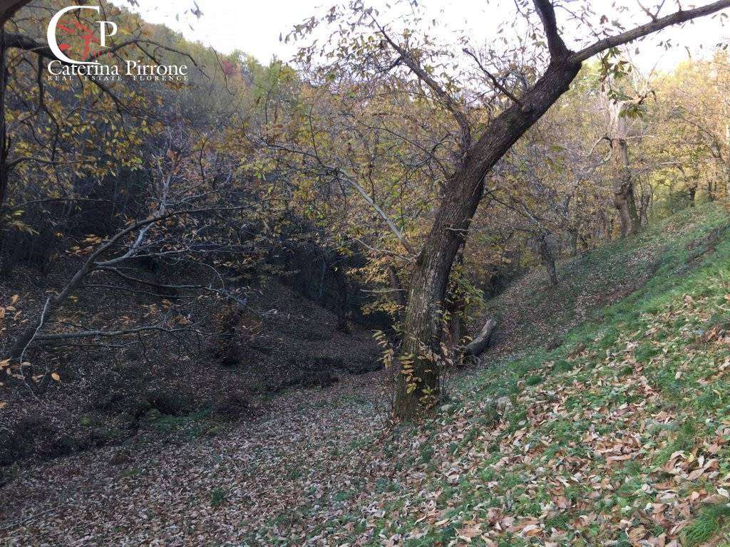  - foto 27