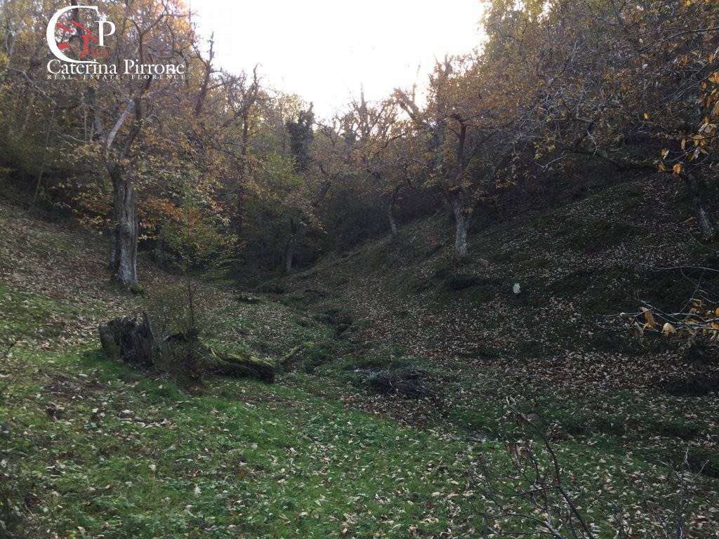  - foto 29