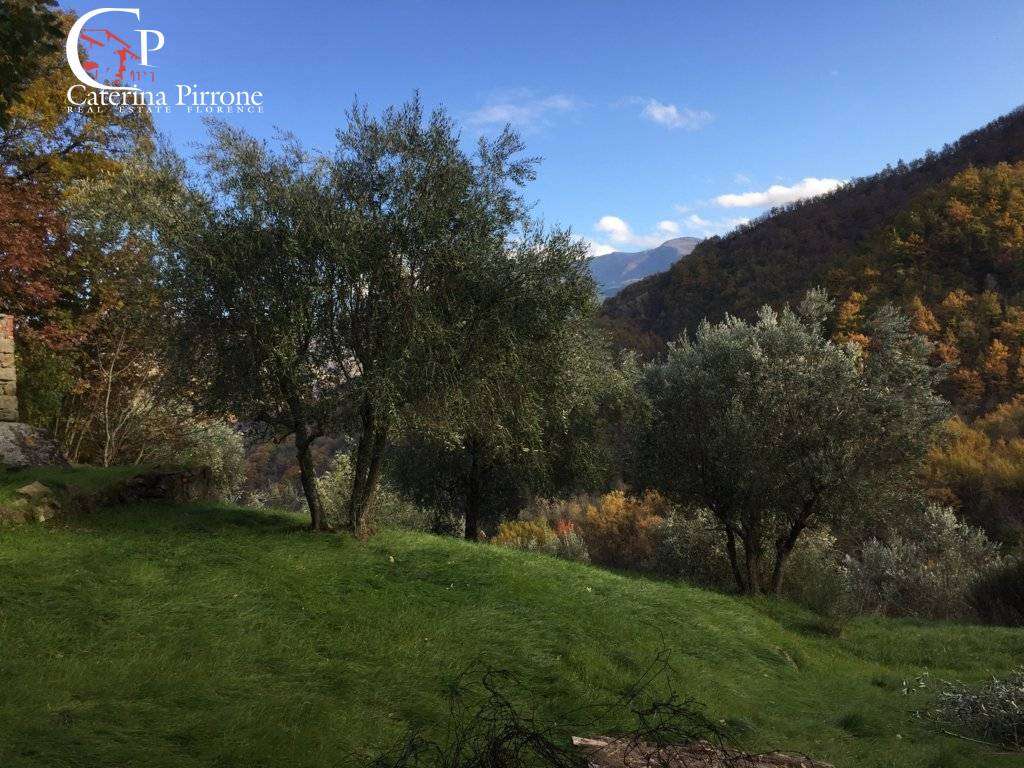  - foto 32