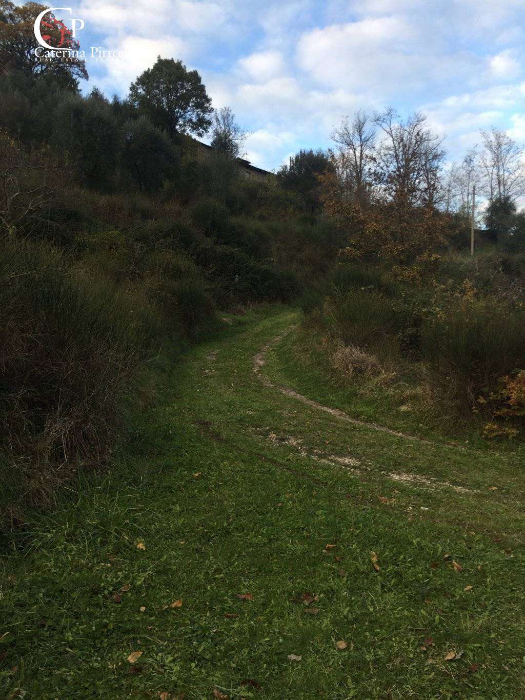  - foto 34