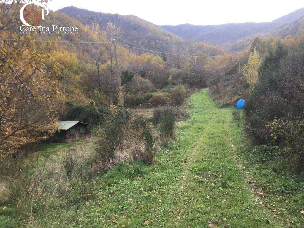  - foto 35