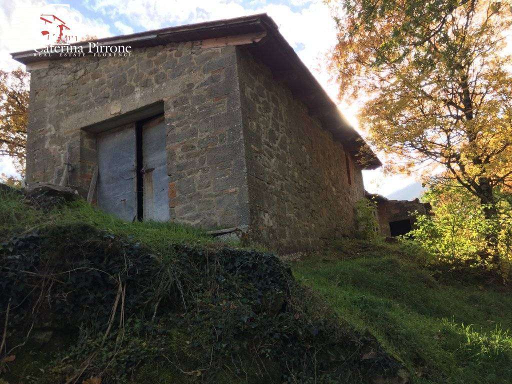  - foto 7