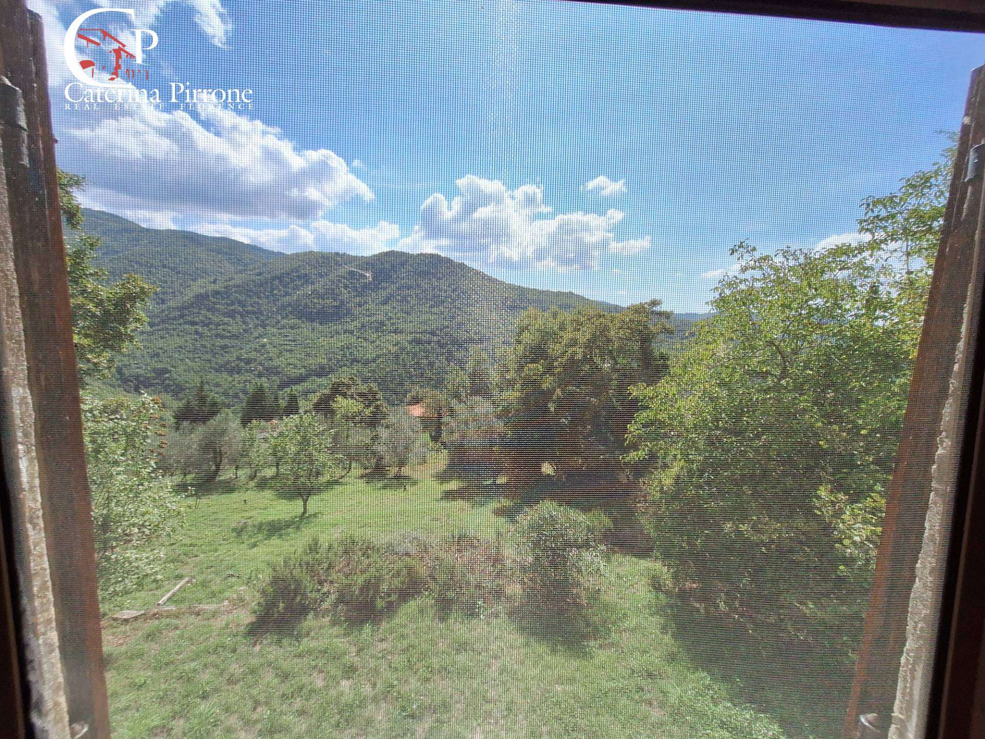 - foto 15